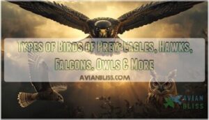 types of birds of prey types of birds of prey