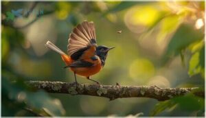 unique field marks and behaviors unique field marks and behaviors