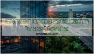 urbanization influence on bird movement urbanization influence on bird movement