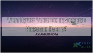 variation in songbird migration habits variation in songbird migration habits