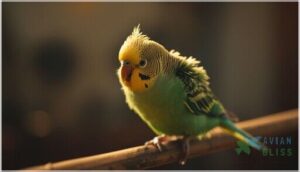 visible breathing difficulties in birds visible breathing difficulties in birds