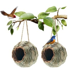 WDEFUN Humming Bird Houses for B0D9NZ36HT