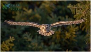 weight and wingspan measurements weight and wingspan measurements