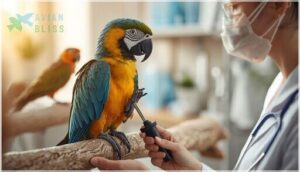 when to consult an avian veterinarian when to consult an avian veterinarian
