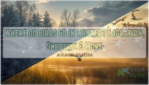 where do birds go in winter where do birds go in winter