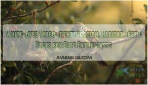 white eyed vireo white eyed vireo