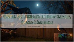 why are birds chirping at night why are birds chirping at night