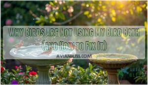 why birds are not using my bird bath why birds are not using my bird bath