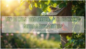 wild bird feeders for beginners wild bird feeders for beginners