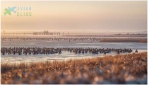 wintering locations wintering locations