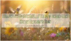 yellow birds yellow birds