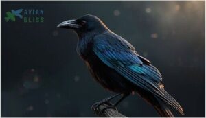 all-black iridescent plumage all-black iridescent plumage