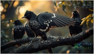 allure of contrast: avian species with artful wing markings allure of contrast: avian species with artful wing markings