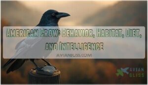 american crow american crow