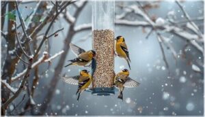 american goldfinch american goldfinch