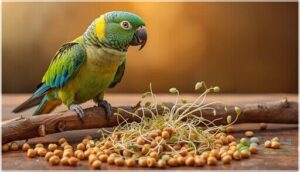 amino acids and protein needs amino acids and protein needs