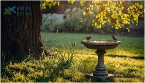 balance sunlight and shade balance sunlight and shade