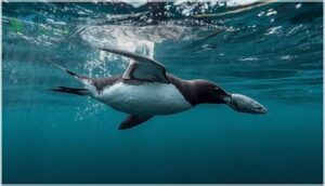 behavior and diet of the thick-billed murre behavior and diet of the thick-billed murre