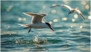 behavior and feeding habits behavior and feeding habits