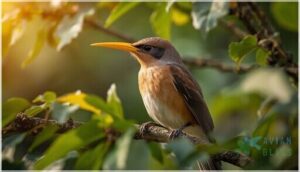 bill color and length bill color and length