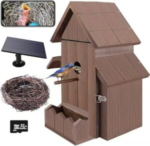 Bird House with Camera, 1080p B0DRJXM334