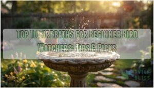 birdbaths for beginner bird watchers