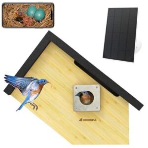 Birdkiss Smart Bird Houses for B0CTF1DZBB