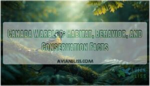 canada warbler canada warbler