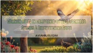 common birds in california common birds in california