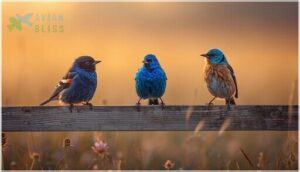 comparison to similar bird species comparison to similar bird species