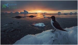 conservation status and current threats conservation status and current threats