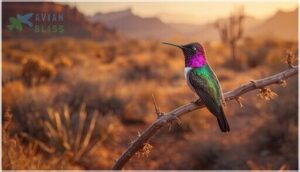 conservation status and interesting facts conservation status and interesting facts