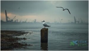 conservation status and threats conservation status and threats