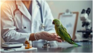 consulting an avian veterinarian consulting an avian veterinarian