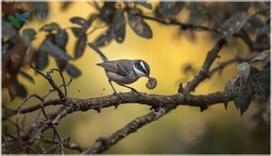 diet and foraging behavior diet and foraging behavior