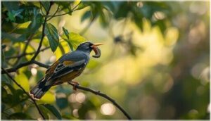 diet and foraging behavior of yellow-billed cuckoos diet and foraging behavior of yellow-billed cuckoos