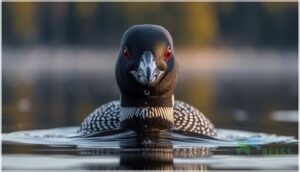 distinctive features (eyes, bill, legs) distinctive features (eyes, bill, legs)