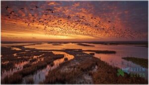 distribution and migration patterns distribution and migration patterns