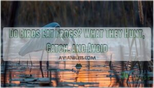 do birds eat frogs do birds eat frogs