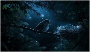 do birds sleep in nests at night do birds sleep in nests at night