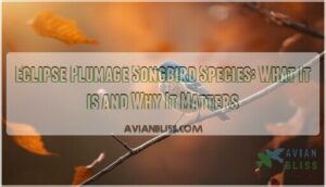eclipse plumage songbird species eclipse plumage songbird species