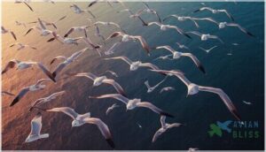 ecological adaptations for long travel ecological adaptations for long travel