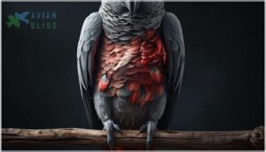 feather abnormalities and loss feather abnormalities and loss