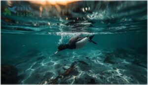 feeding behavior and diet feeding behavior and diet