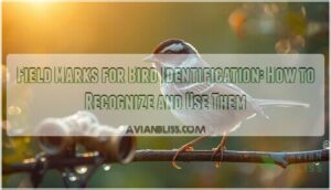 field marks for bird identification field marks for bird identification