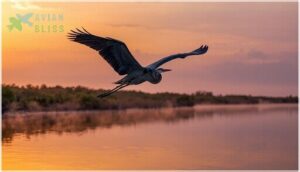 great blue herons and their majestic flight great blue herons and their majestic flight