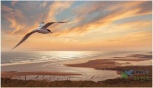 habitat and geographic distribution habitat and geographic distribution