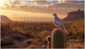 habitat and geographic range habitat and geographic range