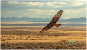 habitat and geographic range habitat and geographic range