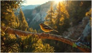 habitat and preferred environment habitat and preferred environment